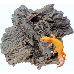 Reptiles Cork Bark Bits Substrate,1 LB Terrarium Bark Bedding Bulk for Geckos Snake Isopods Bearded Dragon Spiders Lizard Tarantula Hermit Crabs