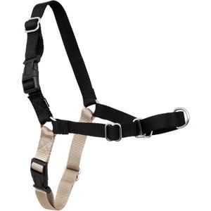 PetSafe Easy Walk Harness for Dogs  PullFree Walks  Patented Martingale Loop Design  Front Chest Leash Attachment  Comfort Straps  Breathable Harness Design  Small, Black/Silver