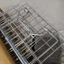 Humane Live Animal Trap Cage 26" 9" 10",Heavy-Duty Live Catch Cage for Raccoon, Squirrel, Stray Cats, Groundhogs, Armadillos, Opossums, Rabbits, Skunk, Mole, Small Wildlife Control