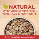 Purina ONE Natural High Protein Dog Food, Tender Cuts in Gravy Chicken and Brown Rice Entre - 13 Ounce (Pack of 12) (EXP 04/30/28)