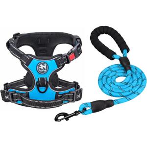 PoyPet Dog Harness and Leash Combo, Escape Proof No Pull Vest Harness, with 5 Feet Leash, Reflective Adjustable Soft Padded Pet Harness with Handle for Dogs(Blue,L)