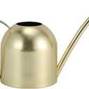 Stainless Steel Water Can for Indoor Plants and Garden (15 oz)