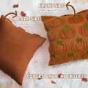 Fall Pumpkin Decorative Throw Pillow Covers 18 x 18 Set of 2, Thanksgiving Day Autumn Harvest Pumpkin Faux Fur Cushion Covers, Soft Embroidered Pillow Cases for Couch Bedroom Holiday Home Decor