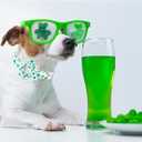 St Patrick's Dog Collar with Flower-Trefoil Adjustable Cute Pet Collar Cotton Clovers Dog Collars Holiday Puppy Collar Metal Buckle Collar Gift for Medium Dogs (Medium (Pack of 1))