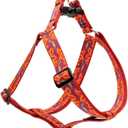 LupinePet Originals 1" Go Go Gecko 24-38" Step In Harness for Large Dogs