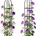 Garden Trellis, 63" Plant Support with Bird Decoration, Plant Trellis for Climbing Vines,Black Decorative Garden Cage for Climbing Roses, Clematis, Vegetables in Patio & Yard-2PACK