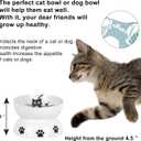 Vencer Cat/Small Dogs Slow Feeding Bowls, Raised Cat/Dog Food Bowl/Water Bowl,Elevated Cat Dog Dish,Pet Bowls for Cats or Small Dogs,VCB-004
