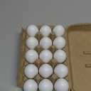 15 PCS White Wooden Eggs, Easter Fake Eggs Life Size Plain Eggs for Kids Craft Children DIY Paint Your Own Egg