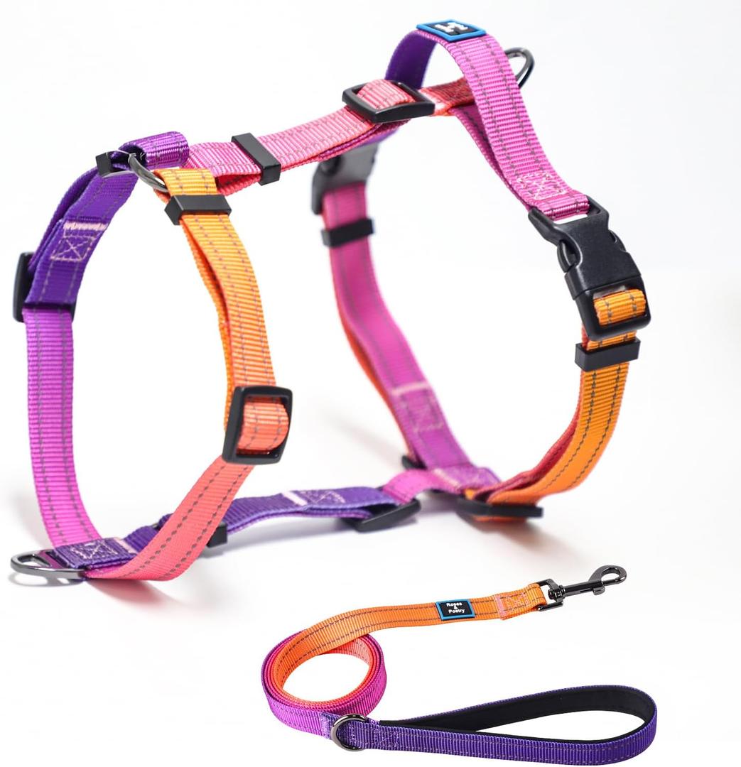 Roses&Poetry Dog Harness with Leash, No Pull Adjustable Harness Leash, Reflective Dog Halter Harnesses Comfort Padded Handle, Pet Walking Harness for Medium DogsMistyrose-M