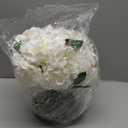 WELL KNOWN Artificial Flowers in Vase, Peonies Artificial Flowers for vase with Faux Water for Coffee Table Decor, Silk Fake Flower Arrangements Peonies Table Centerpieces (White) (Ivory)