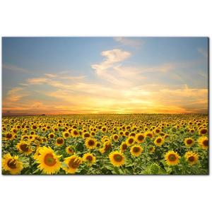 Pacimo Wall Art for Living Room Sunflowers Landscape Modern Wall Decor for Bedroom Office Decor Yellow Flowers Sea Painting Framed Canvas Art Prints Wall Pictures Home Decor Ready to Hang 24"x36"