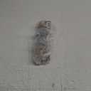 STETION Universal Splitter Strut Rods 9.44''-11'' Length Front Bumper Lip Support Strut Rod Tie Bars Fit Most Vehicles (9.44'' - 11'' Length)