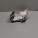 Pet Pirate Costume for Cats and Dogs XL Stylish Pirate Suit Apparel with Hat Festival and Party Wear Photo Prop Outfit Comfortable Everyday Pet Clothing