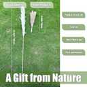55" inch Scarcity Natural Pampas Grass Decor Tall, pompas Grass, Tall Pampas Grass for Wedding, Party, Farmhouse, Boho Home Decor