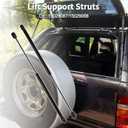 Rear Window Glass Lift Supports Struts for Cadillac Escalade 2000 2002-2006 No.15029087/15029088 Gas Spring Black 2Pcs