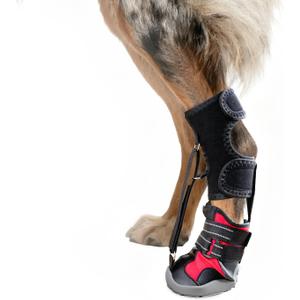 Strap-On Drop Foot Brace (No Knuckling Boot Brace) for Dogs, Dog Knee Pads,Corrective Dog Shoes to Safely Lift Toes for Foot Issues, Arthritis, and improving Walking gait in Dogs(XL)