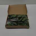 Winlyn 5Pcs Mixed Artificial Oval Eucalyptus Leaves Bulk with White Seeds Stems and Spray for Vase Floral Wreath Bouquets Wedding Greenery Decoration