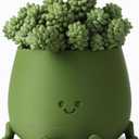TOPOLA Happy Face Planter, 5.2 Inches Plastic Plant Pot, Self Watering Plant Pot with Drainage Holes for Indoor Outdoor, Succulent Pot, Funny Flower Pot, Dark Green