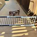 White Metal Dog Gate for Small Dogs - 13.3" Short Freestanding Puppy Gate with Retractable Sliding Rail, No Installation, Indoor/Outdoor Use, Foldable & Portable Pet Barrier