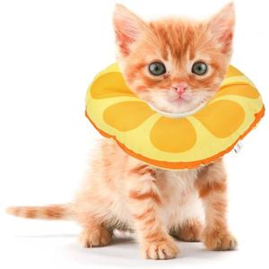 Kitten Cones After Surgery 0-6 Months, Donut Extra Small Kitten Cone Collar Soft to Stop Licking Neck, Elizabethan Kittens e Collar for Recovery, xs Small Cat Cone Spray, Pet Soft Cone for Cats, S