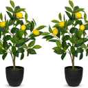 2Ft Artificial Lemon Trees, 2 Packs Large Artificial Plants Indoor with Black Pots Faux Potted Citrus Trees Fake Floor Plants Lemon Decorations for Home Living Room Office, Bedroom Table, Desk