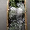 ALL SEASON GREEN 4' Spiral Boxwood Topiary Trees Artificial Outdoor Plants in Plastic Pot Front Porch Plants Set of 2