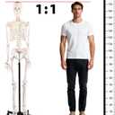 72.83 Inch Life Size Human Skeleton Model for Anatomy, Anatomically Correct Skeleton with Detachable Skull & Movable Arms Legs, Medical Study Teaching Tool & Halloween Skeleton Decoration
