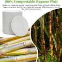 ECOLipak 6 Inch Disposable Compostable Small Paper Plates, 200 Pack Recycled Sugarcane Bagasse Biodegradable Heavy Duty Mini Dinner Appetizer Cake Dessert Plates for Party(White)