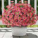 VIERENA 24 Bundles Artificial Flowers and Eucalyptus for Outside, Sun Resistant Silk Fake Morning Glory with Faux Eucalyptus Plants for Garden Porch Farmhouse Home Spring Summer Decor (Rose Red)
