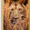 Art Shoppe Framed Print Wall Art, Vintage Wall Dcor for Living Room, Bedroom, Office, High-Resolution Image on Premium Art Paper, 3/4" Frame with Plexiglass Front, Ready to Hang, 17"x21" (Lion in Grass)