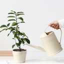 Plastic Indoor Watering Can with Sprinkler Head - 68 oz, 1/2 Gallon (Dark Green)