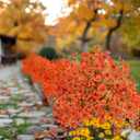 Alupssuc Set of 2 Artificial Fall Topiary Ball Flowers for Outdoor Decoration with Spike 20", UV Resistant Fake Autumn Floral Shrubs, Realistic Faux Bushes Plants for Garden,Yard,Porch and Patio Decor