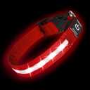 Super Bright LED Dog Collar - Fully Waterproof & Adjustable Glow Collar - USB-C Rechargeable for Night Walking, Safety - Flashing Lighted Collar for Dogs(Red,Large)