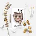 Funny Cat Birthday Card for Men Women, Naughty Birthday Card Gift for Cat Lover Friend Sister Brother Cousin Coworker