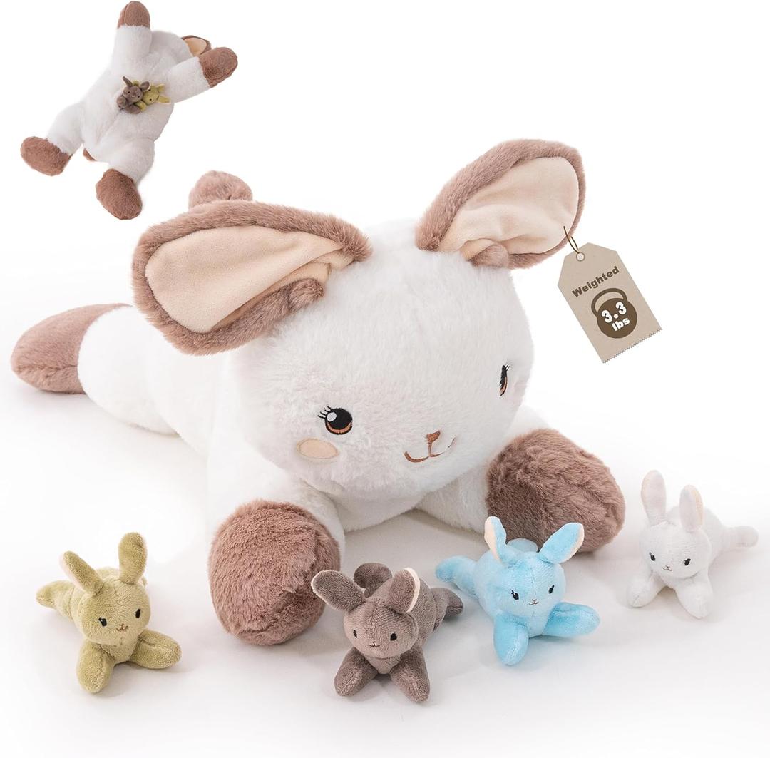 Bunny Stuffed Animals, Mommy Bunny Plush with Baby, 5 Pcs Plush Toy for Girl Boy, Birthday Valentine's Gifts for Girlfriend, Kids, Toddler, Age 3-8, White