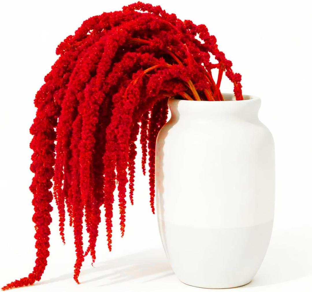 5 Pcs 22 Inch Bright Red Artificial Amaranthus - Faux Lover Tears Hanging Vines for Floral Arrangements, Vase Bouquets, Wedding Arch, Table Centerpiece, Home Office Decor