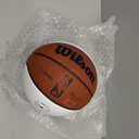 WILSON NBA Alliance Series Basketballs - Size 7 and Mini Size