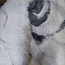 Area Rugs 9x12 for Living Room, Ultra Soft Fluffy Rugs for Bedroom, Non-Slip Furry Large Rug for Teen Girls and Boys,Nursery Kids Room Dorm Home Decor, High Pile Plush Floor Carpet, Cream White