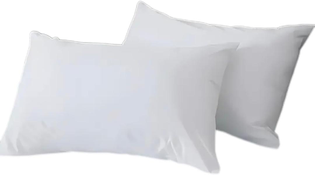 12 x 20 Throw Pillow Insert - Pack of 2 White, Down Alternative Pillow Inserts for Decorative Pillow Covers, Throw Pillows for Bed, Couch Pillows for Living Room (12x20 Inch (Pack of 2))