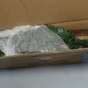 National Tree Company 4 ft Pre-Lit Kincaid Spruce Mini Artificial Christmas Tree, 100 Clear Lights, 269 Tips, Includes Stand, Green