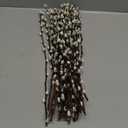 Oning 30 Stems Real Dried Pussywillow Preserved Greenery Branches for Vase- Natural Pussywillows with White Flowers, 16''-17'' Snow Willow Branches for Easter Wedding Home Party Hotel Fireplace Decor
