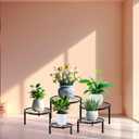 HENABLE 5 Packs Metal Plant Stand Indoor, Outdoor Black Plant Stand for Multiple Plant, Rustproof Iron Round Heavy Duty Flower Pot Stand, Plant Shelf for Planter Garden Home