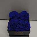 4-Piece Preserved Roses in a Box, Preserved Flowers, Roses Gift for Her, Royal Blue