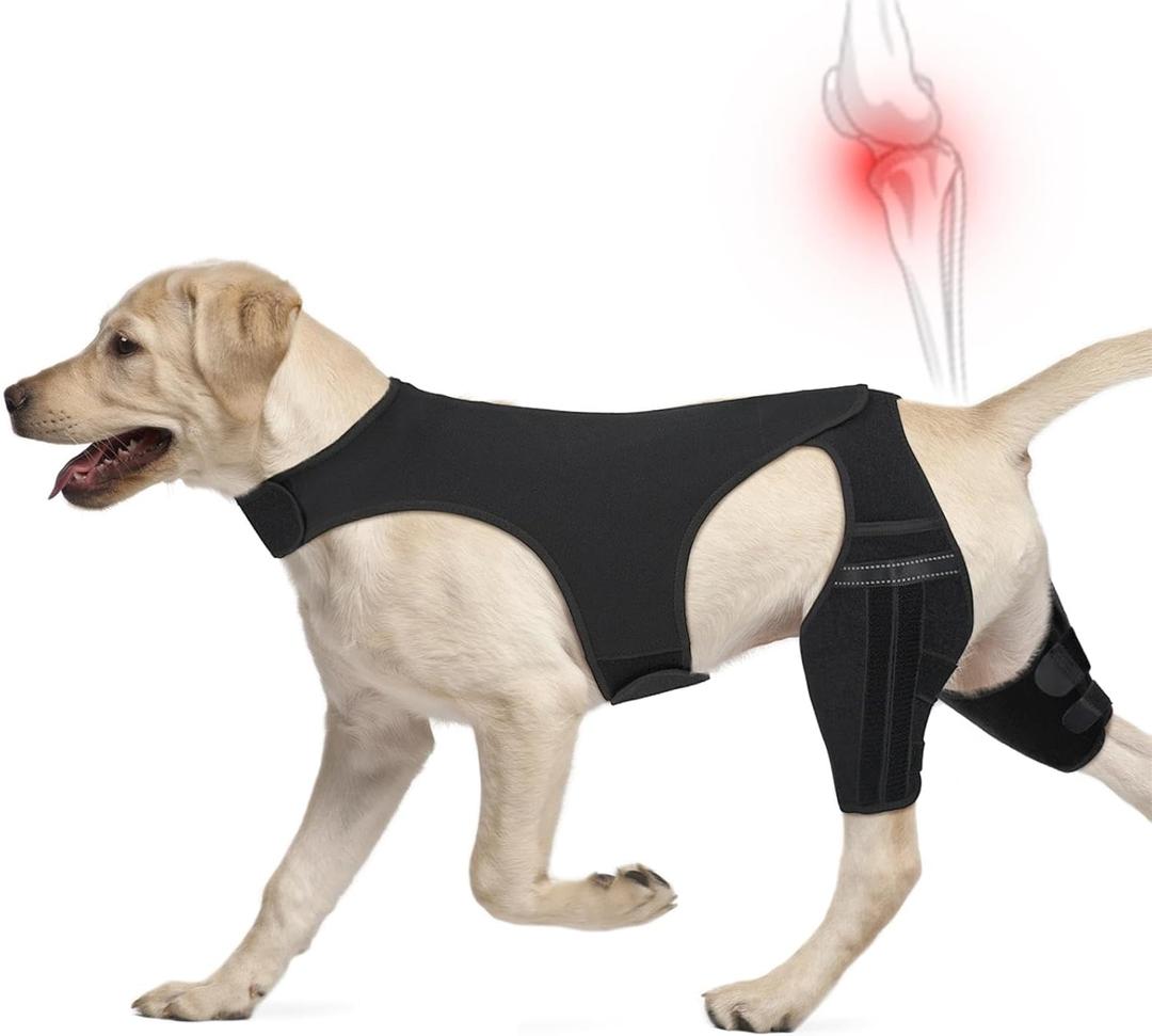 Dog Knee Brace for Back Leg, Dog Leg Brace Fit Large Middle Small Dogs for Luxating Patella, Hip Dysplasia, Torn ACL Hind Leg, Ligament Injuries (Large)