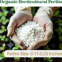 2 x Organic Perlite for Plants,2 Quart Premium Horticultural Perlite for Indoor and Outdoor Plants,Enhance The Ventilation and Drainage of The Soil,Optimal for Potting Mixes