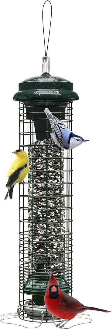 Brome Squirrel Solution 150 Squirrel-Proof Bird Feeder for Wild Birds 4 Stainless Steel Perches, 2.6 lb Seed Capacity, Chew-Proof, Free Seed Funnel Included