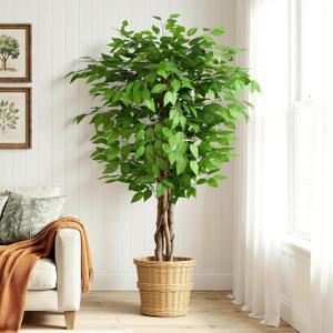 5ft Ficus Artificial Trees with Natural Curved Trunks, 60" Tall Lush Faux Tree for Home Decor Indoor, Green Lifelike Fake Ficus Tree Artificial Plants