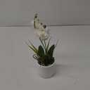 Jusdreen 1 Pcs Ceramic Vase Artificial Orchid Flower Bonsai Vivid Phalaenopsis Flowers Potting for Home Office Dcor,Table Centerpiece Room Decorations 14.5 INCH (Ceramic Pot/White Orchid) (Z/Ceramic-white)