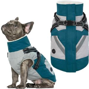 IECOii Dog Winter Coat Waterproof - Dog Coat with Harness Built in for Medium Dogs,Thermal Warm Fleece Lined with Zip Up Cold Weather Jacket,Reflective Snowsuit for Outdoor, Turquoise Green,M (Medium(Chest:20.9 in))