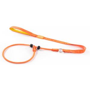 Howgo Dog Slip Lead Dog Leash, Training Lead, No-Pull Slip Leash and Collar, Heavy Duty & Durable Nylon, Padded Handle, for All Breeds (Orange, 3.6FT)